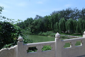 公园风景