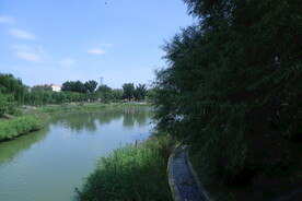 公园风景