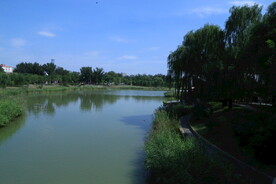 公园风景 