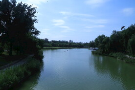 公园风景