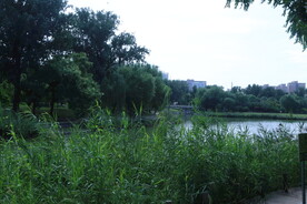 龙潭中湖风景 