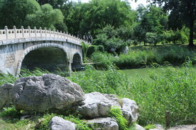 公园风景
