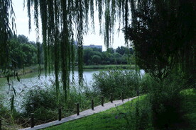 公园风景 