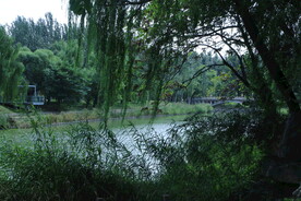 公园风景 