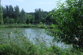 公园风景 