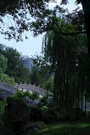 公园风景 