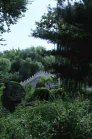 公园风景 