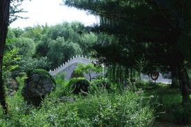 公园风景