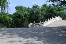 公园风景