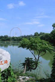 公园风景 