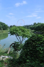 龙潭中湖风景