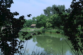 公园风景