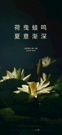 小暑
