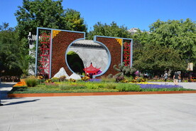 公园风景 