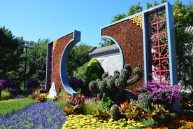 公园风景