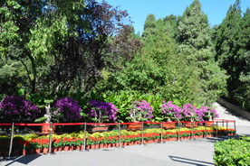 公园风景 