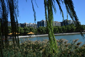 公园风景 