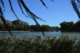 公园风景