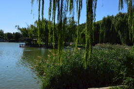 公园风景 