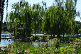 公园风景 