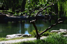 公园风景 