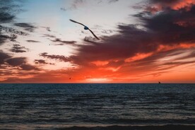 彩霞海景