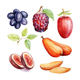 水彩水果插画