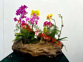 花卉盆栽组合