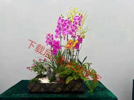 花卉盆栽组合