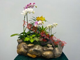 花卉盆栽组合