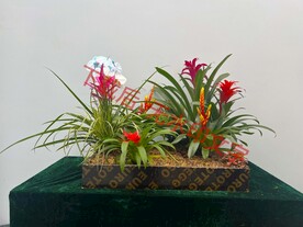 花卉盆栽组合