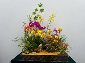 花卉盆栽组合