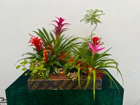 花卉盆栽组合