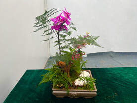 花卉盆栽组合