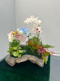  盆栽组合