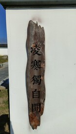 伊芦山梅园白墙木质标牌