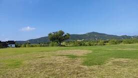 伊芦山梅园；蓝天白云草坪