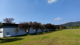 伊芦山梅园蓝天白云草坪