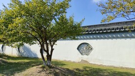 伊芦山梅园白墙灰瓦建筑梅树