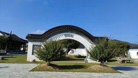 夏季伊芦山梅园白墙灰瓦建筑梅树