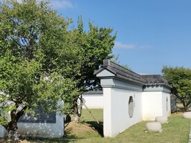 夏季伊芦山梅园白墙灰瓦建筑梅树