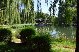 公园风景 