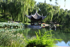 公园风景 
