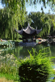 公园风景 