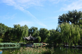 公园风景 