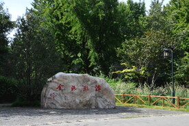公园风景   