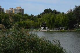 公园风景 