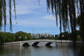 公园风景 