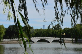 公园风景  