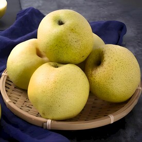砀山酥梨